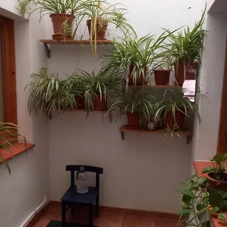 Affittacamere Cal Manyo Puigvert de Lérida Esterno foto
